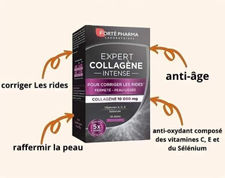 Forte pharma expert collagen intense 14 sticks