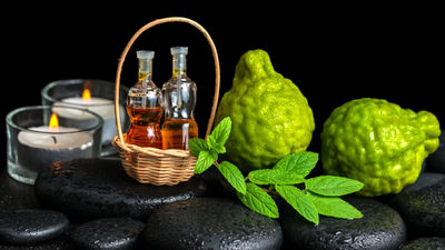 Fournisseur huile essentielle de bergamote