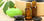 Fournisseur huile essentielle de cajeput - Photo 2