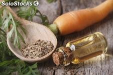 Fournisseur huile essentielle de carrot