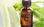 Fournisseur huile essentielle de fennel - 1