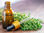 Fournisseur huile essentielle de thyme - 1