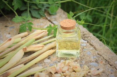 Fournisseur huile essentielle lemongrass