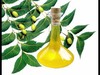 Fournisseur huile Végetale de neem