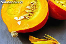 Fournisseur huile Végétale de semences de pumpkin