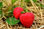 Fournisseur Parfum de fraise - Photo 2