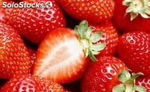 fraises fraîches