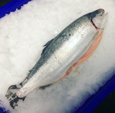 Fresh Atlantic salmon - Photo 2