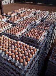 Fresh Chicken Table Eggs Brown Fresh Brown White Table Eggs- - Foto 3