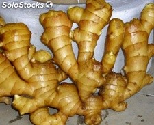 Fresh Organic Ginger Niska cena