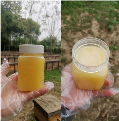 Fresh Royal Jelly Honey 1KG Selling - Foto 4