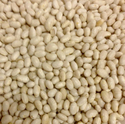 Frijol Blanquillo (Navy Beans)