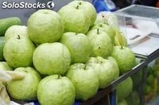 frische Guava zum Verkauf