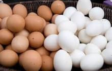 Frische Hühnereier / weiße und braune Eier Tisch.