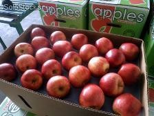Fruta Fresca (manzanas en todas sus variedades / Kiwis)