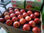 Fruta Fresca (manzanas en todas sus variedades / Kiwis) - 1
