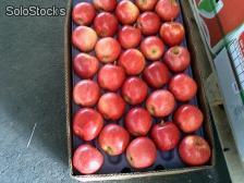 Fruta Fresca (manzanas en todas sus variedades / Kiwis) - Foto 2