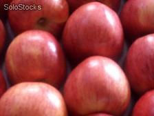 Fruta Fresca (manzanas en todas sus variedades / Kiwis) - Foto 3