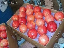 Fruta Fresca (manzanas en todas sus variedades / Kiwis) - Foto 4