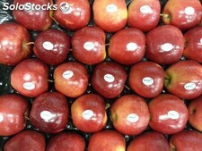 Frutas frescas de manzana