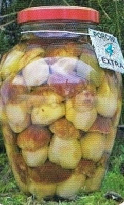 Funghi porcini extra interi ml 3100 (3 kg)