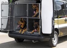 Furgão pequeno para transporte de Cães (CANIL)