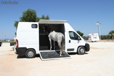 Furgonetas adaptadas para el transporte de caballos