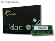 g.Skill 4GB DDR3-1066 sq mac - 4 GB - 1 x 4 GB - DDR3 - 1066 MHz - 204-pin