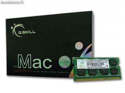 g.Skill 4GB DDR3-1066 sq mac - 4 GB - 1 x 4 GB - DDR3 - 1066 MHz - 204-pin