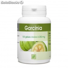 Garcinia 100 gélules gph