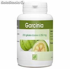 Garcinia 200 gélules dosées à 250mg gpph