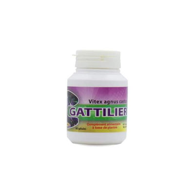 Gattilier (Vitex agnus castus) 350 mg 90 comprimés