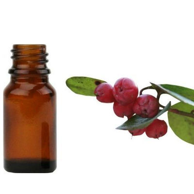Gaultherie Essential Oil - Photo 2