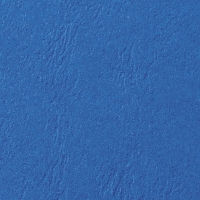 GBC CE040020 LeatherGrain Tapas de encuadernacion | 250 gr | azul | textura de