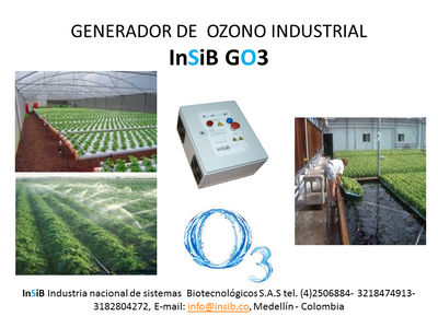 Generador de ozono Industrial 1g - Foto 2