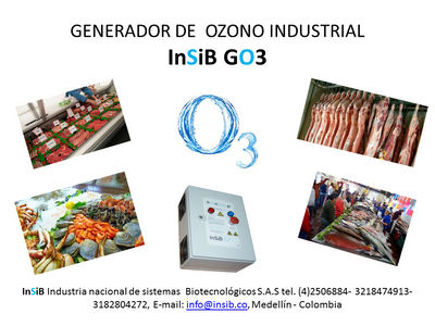 Generador de ozono Industrial 1g - Foto 4