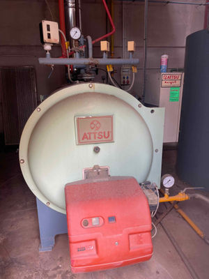 Generador de vapor attsu 600 kg/h - Foto 4