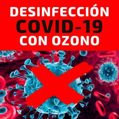 Generador Ozono Desinfección Ambientes Virus Purificador de aire control COVID - Foto 4