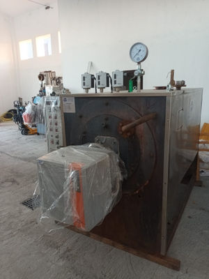 Generatore di vapore 1.000 kg/h 12 bar