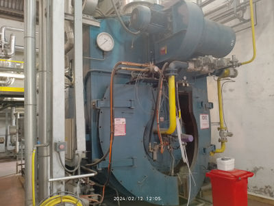 Generatore di vapore bono - Foto 3