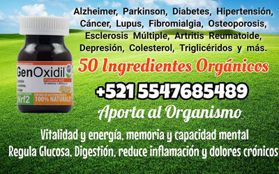 genoxidil tabletas / capsulas 50 ingredientes marca NBN LIVING