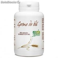 Germe de blé- 200 capsules 270 mg &quot;gph&quot;