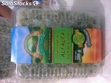 Germinado de Alfalfa 200g.