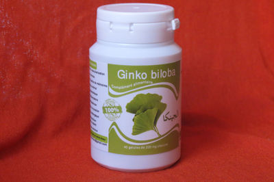 Ginkgo biloba 40 gélules