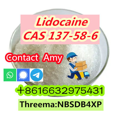 Good Price CAS 137-58-6 Lidocaine for Sale - Photo 3