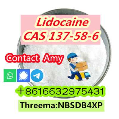 Good Price CAS 137-58-6 Lidocaine for Sale - Photo 5