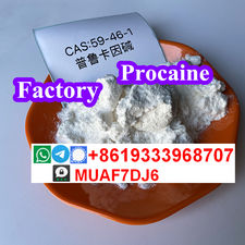 Good quality of 59-46-1 Procaine base factory manufacturer supplier