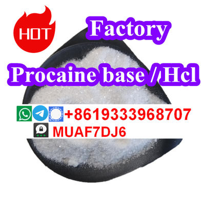 Good quality of 59-46-1 Procaine base factory manufacturer supplier - Photo 2