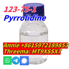 good quality Pyrrolidine CAS 123-75-1 factory supply with low price and fast shi
