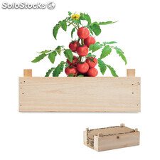 Graines de tomates dans caisset bois MIMO6498-40